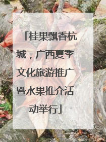 桂果飘香杭城，广西夏季文化旅游推广暨水果推介活动举行