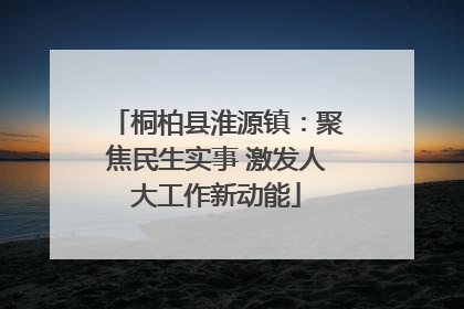 桐柏县淮源镇：聚焦民生实事 激发人大工作新动能