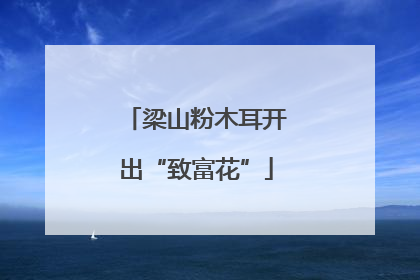 梁山粉木耳开出“致富花”