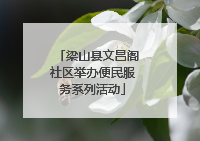 梁山县文昌阁社区举办便民服务系列活动