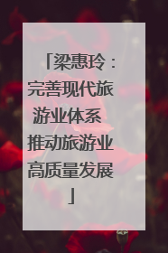 梁惠玲：完善现代旅游业体系 推动旅游业高质量发展