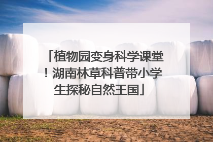植物园变身科学课堂！湖南林草科普带小学生探秘自然王国