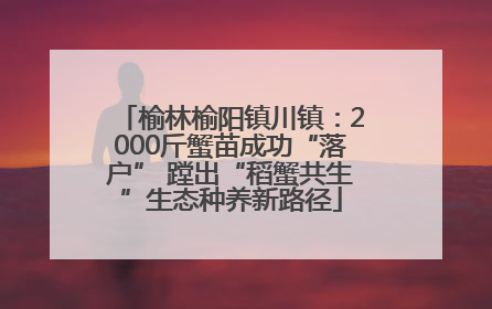 榆林榆阳镇川镇：2000斤蟹苗成功“落户” 蹚出“稻蟹共生”生态种养新路径