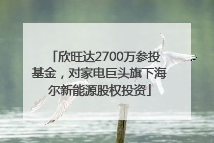 欣旺达2700万参投基金，对家电巨头旗下海尔新能源股权投资