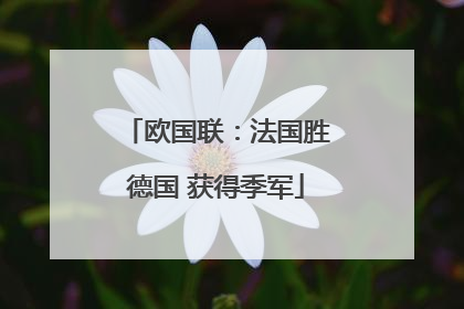 欧国联：法国胜德国 获得季军