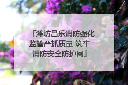潍坊昌乐消防强化监管严抓质量 筑牢消防安全防护网