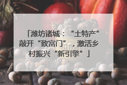 潍坊诸城：“土特产”敲开“致富门”，激活乡村振兴“新引擎”