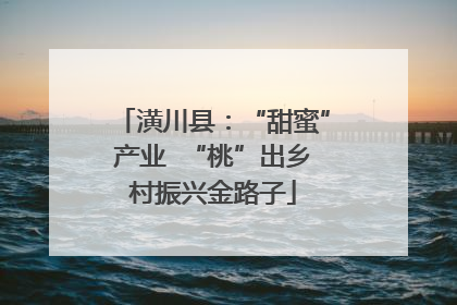 潢川县：“甜蜜”产业  “桃”出乡村振兴金路子