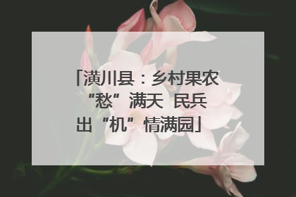 潢川县：乡村果农“愁”满天  民兵出“机”情满园