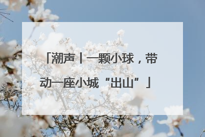 潮声丨一颗小球，带动一座小城“出山”