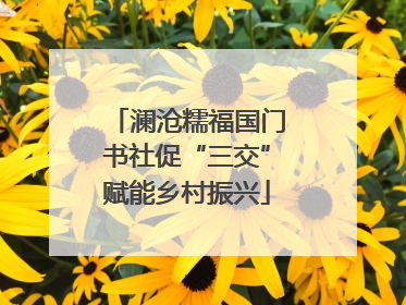 澜沧糯福国门书社促“三交”赋能乡村振兴
