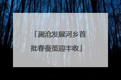 澜沧发展河乡首批春蚕茧迎丰收