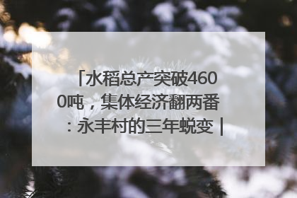 水稻总产突破4600吨，集体经济翻两番：永丰村的三年蜕变｜您牵挂的四川