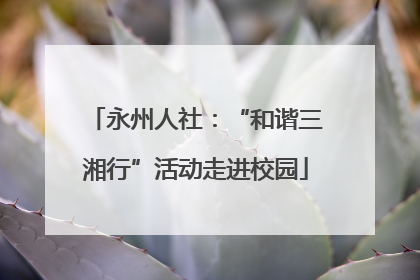 永州人社：“和谐三湘行”活动走进校园