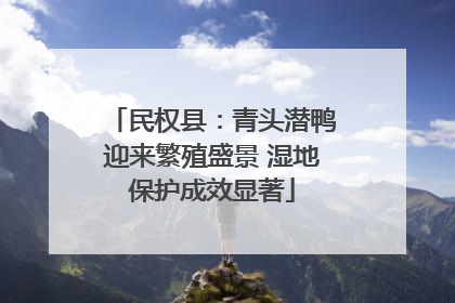 民权县：青头潜鸭迎来繁殖盛景 湿地保护成效显著