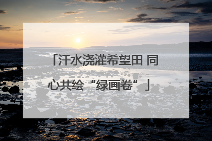 汗水浇灌希望田 同心共绘“绿画卷”