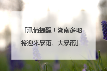 汛情提醒！湖南多地将迎来暴雨、大暴雨