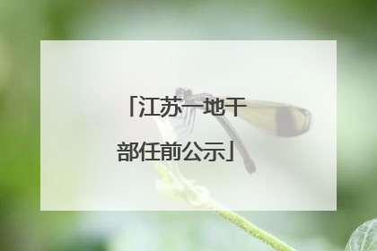 江苏一地干部任前公示