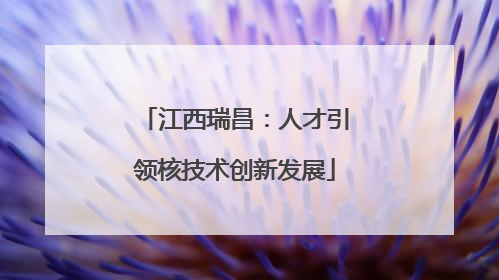 江西瑞昌：人才引领核技术创新发展