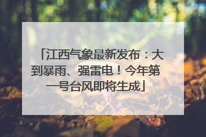 江西气象最新发布：大到暴雨、强雷电！今年第一号台风即将生成