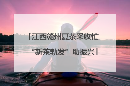 江西赣州夏茶采收忙 “新茶勃发”助振兴