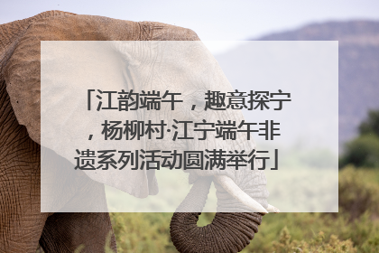 江韵端午，趣意探宁，杨柳村·江宁端午非遗系列活动圆满举行