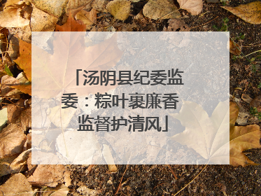 汤阴县纪委监委：粽叶裹廉香 监督护清风