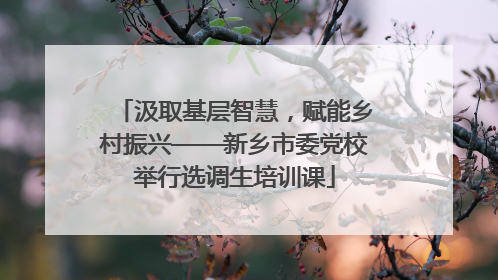 汲取基层智慧，赋能乡村振兴——新乡市委党校举行选调生培训课