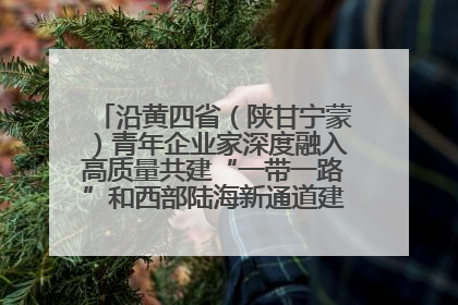 沿黄四省（陕甘宁蒙）青年企业家深度融入高质量共建“一带一路”和西部陆海新通道建设战略合作交流会在甘肃兰州召开