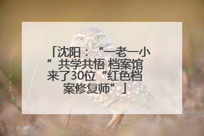沈阳：“一老一小”共学共悟 档案馆来了30位“红色档案修复师”