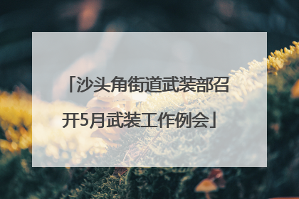 沙头角街道武装部召开5月武装工作例会