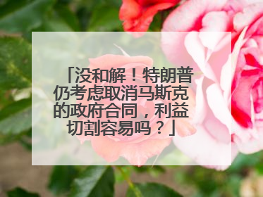 没和解！特朗普仍考虑取消马斯克的政府合同，利益切割容易吗？
