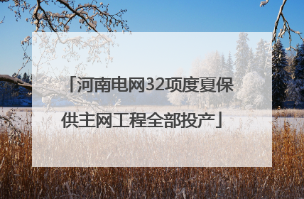 河南电网32项度夏保供主网工程全部投产