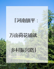 河南镇平：万亩荷花铺就乡村振兴路