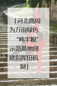 河北曲周为万亩绿色“吨半粮”示范基地创建指挥田机制