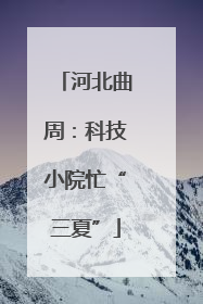 河北曲周：科技小院忙“三夏”