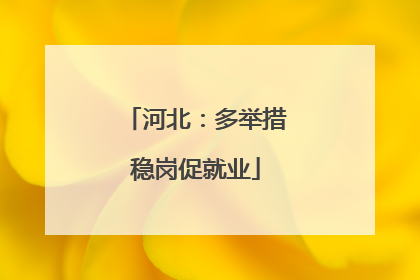 河北：多举措稳岗促就业