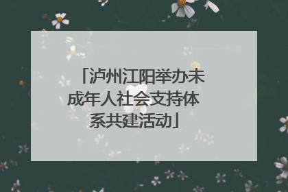 泸州江阳举办未成年人社会支持体系共建活动