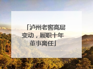 泸州老窖高层变动，履职十年董事离任