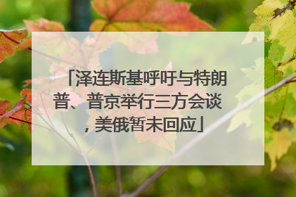 泽连斯基呼吁与特朗普、普京举行三方会谈，美俄暂未回应