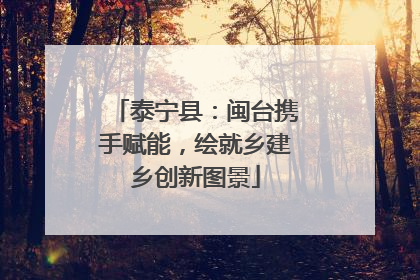 泰宁县：闽台携手赋能，绘就乡建乡创新图景