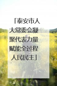 泰安市人大常委会凝聚代表力量赋能全过程人民民主
