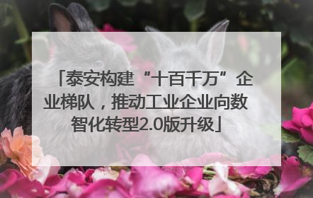 泰安构建“十百千万”企业梯队，推动工业企业向数智化转型2.0版升级