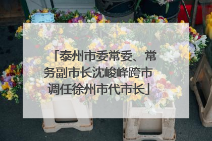 泰州市委常委、常务副市长沈峻峰跨市调任徐州市代市长
