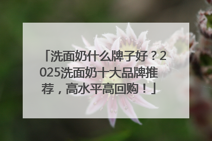 洗面奶什么牌子好？2025洗面奶十大品牌推荐，高水平高回购！