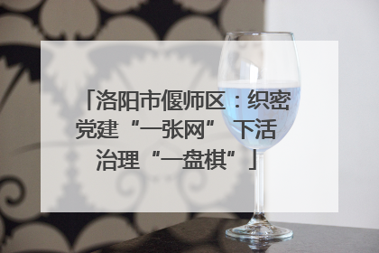 洛阳市偃师区：织密党建“一张网” 下活治理“一盘棋”