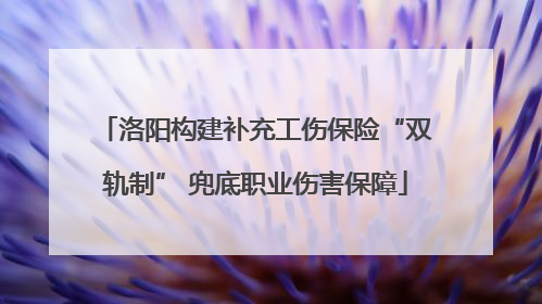 洛阳构建补充工伤保险“双轨制” 兜底职业伤害保障
