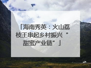 海南秀英：火山荔枝王串起乡村振兴“甜蜜产业链”