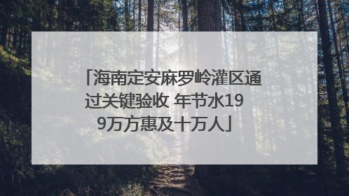 海南定安麻罗岭灌区通过关键验收 年节水199万方惠及十万人