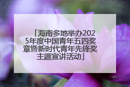 海南多地举办2025年度中国青年五四奖章暨新时代青年先锋奖主题宣讲活动